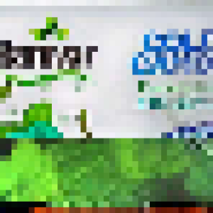 Kamvar- ‎Sugar Free ‎Cold ‎Candy- ‎blueberry -30gm -192 Pcs