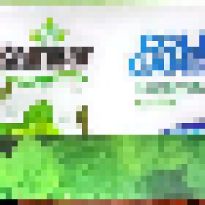 Kamvar- ‎Sugar Free ‎Cold ‎Candy- ‎Mint -192 Pcs